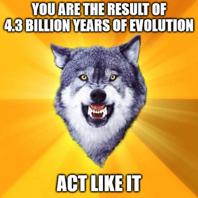 Courage Wolf Meme containing the text "You are the result of 4.3 billion years of evolution, Act like it"